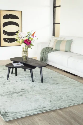 Online HUUS Salontafelset Guus