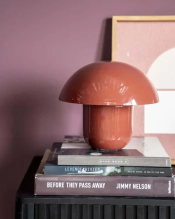 Clearance HUUS Tafellamp Toad